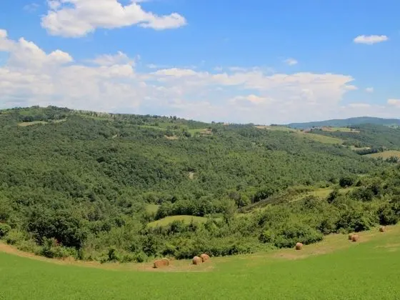 Exquisite Villa in San Venanzo With Private Pool - Konum Öne Çıkanlar