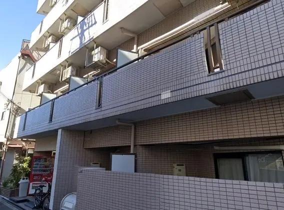 Exsaison Shirokita 703