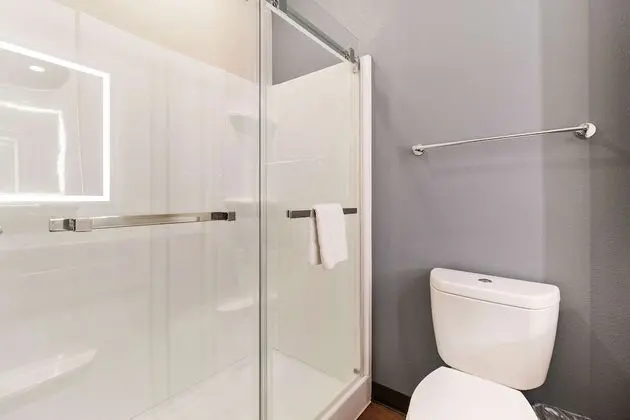 Extended Stay America Premier Suites Port Charlotte I75 - Banyo Tipleri