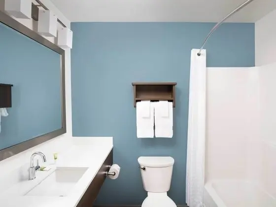 Extended Stay America Suites - Charlotte - Matthews - Banyo Tipleri