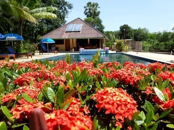 Faasai Resort & Spa - Havuz