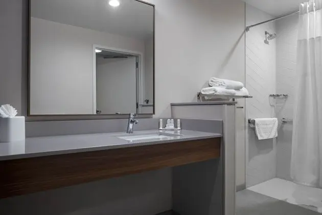 Fairfield Inn & Suites Dallas DFW Airport North - Banyo Özellikleri