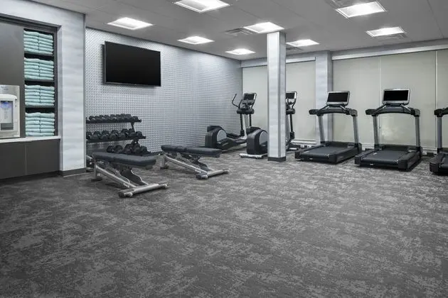 Fairfield Inn & Suites Dallas DFW Airport North - Fitness