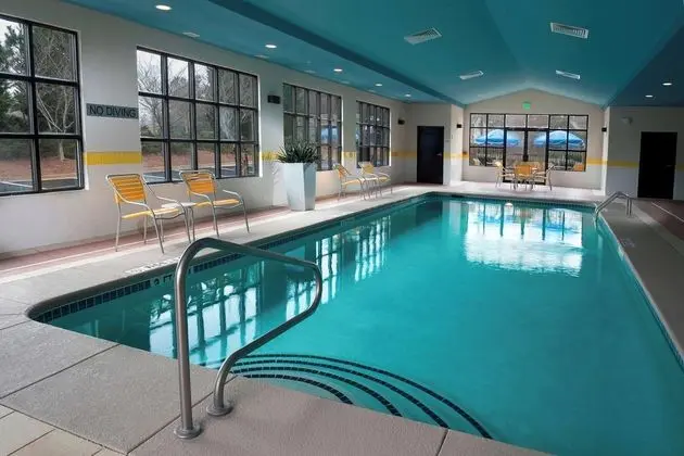 Fairfield Inn & Suites by Marriott Atlanta Buford/Mall of Georgia - Havuz