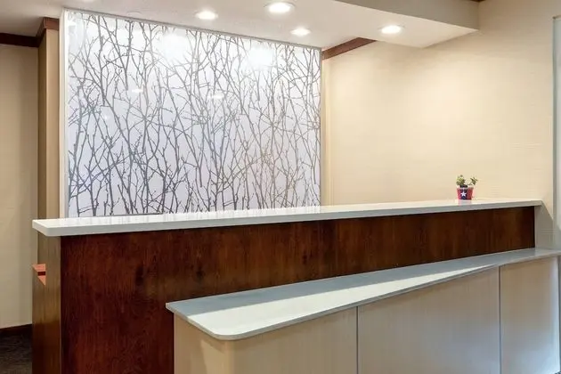 Fairfield Inn and Suites by Marriott Austin South - Dış Mekan