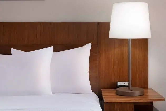 Fairfield Inn and Suites by Marriott Austin South - Oda