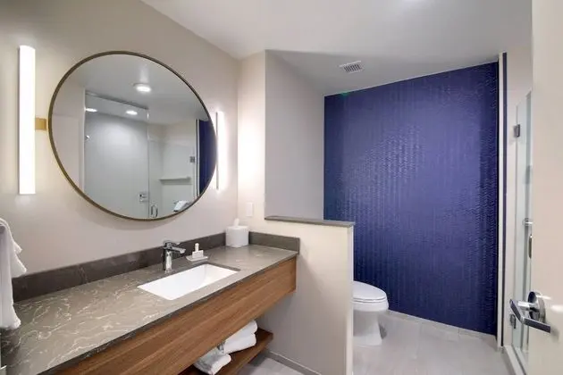 Fairfield Inn & Suites by Marriott Dallas Cedar Hill - Banyo Tipleri