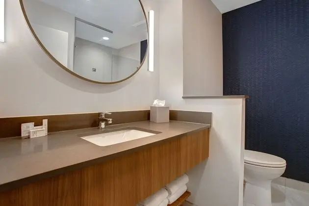 Fairfield Inn & Suites by Marriott Denver Southwest/Littleton - Banyo Tipleri