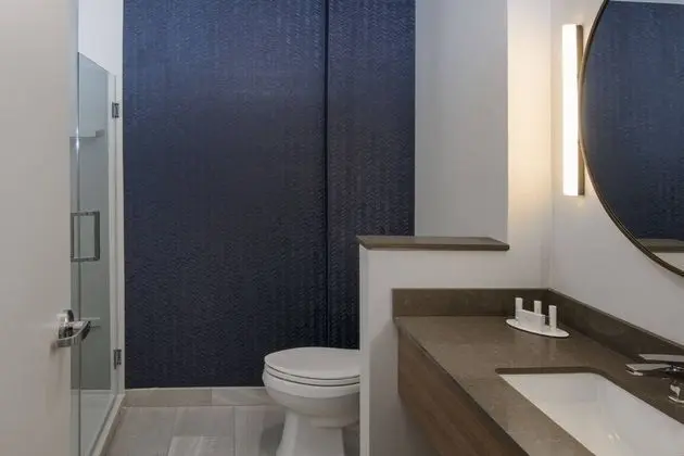 Fairfield Inn & Suites by Marriott Locust Grove I-75 South - Banyo Tipleri