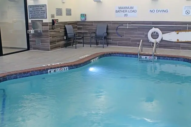 Fairfield Inn & Suites by Marriott St. Louis South - Havuz