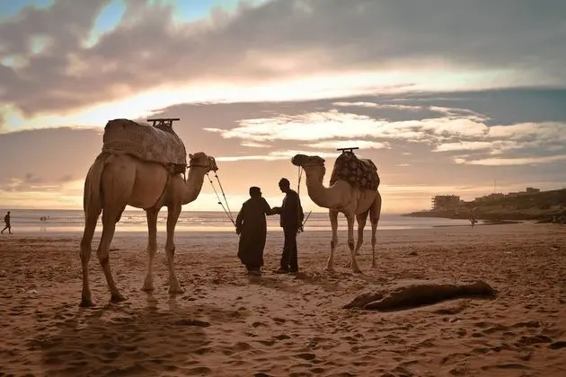 Fairmont Taghazout Bay - Plaj