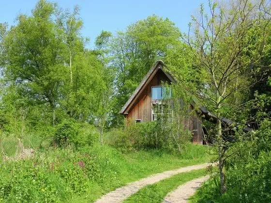 Fairytale Cottage Nestled Between Forest and Village Within Cycling Distance of Bergen aan Zee