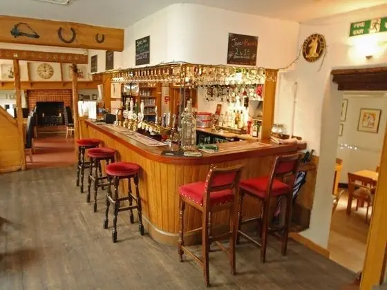 Falcon Inn - Bar