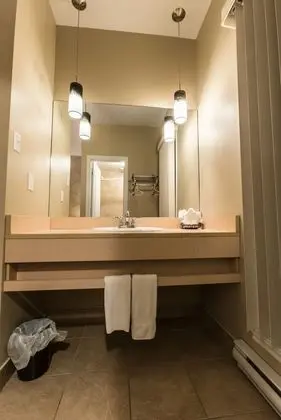 Falcon Motel Brossard - Banyo Tipleri