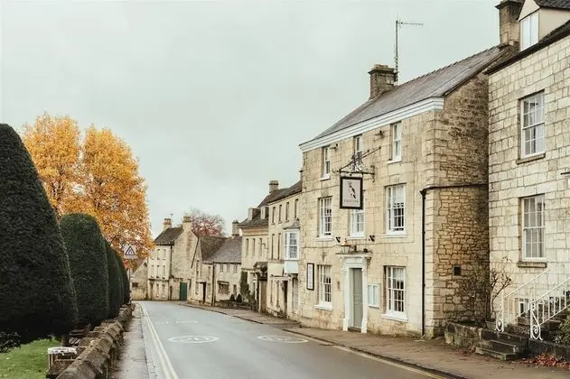 The Falcon Painswick