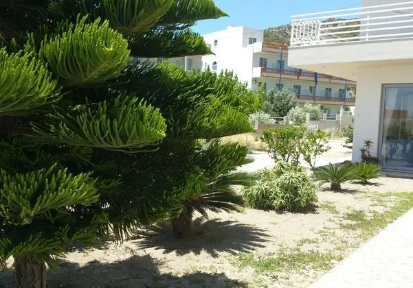 Faliraki Dream Studios & Apts - Manzara / Peyzaj