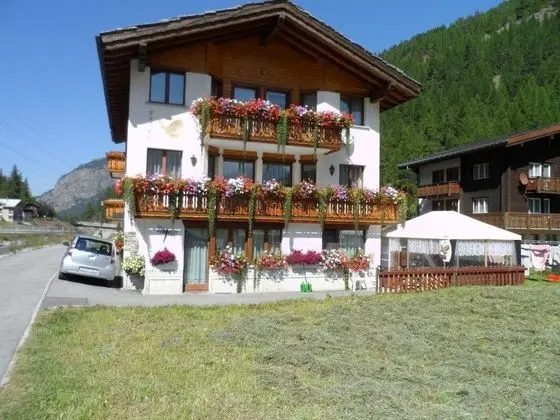 Falke Saas-balen in Saas-balen