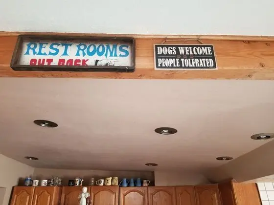 Family Friendly (Pets Welcome) - Genel