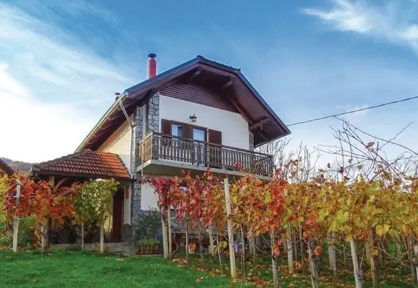 Family Friendly Vineyard House Bahor - Dış Mekan