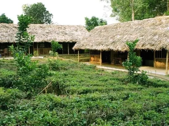Family Homestay Ba Vi - Hostel