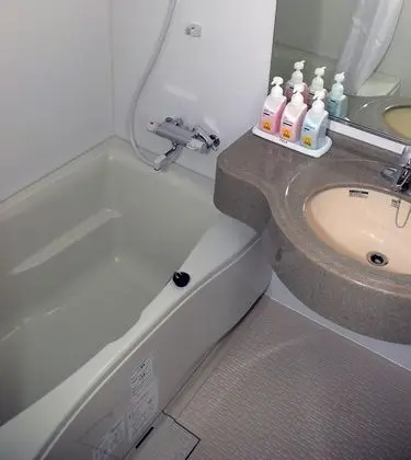 Family Lodge Hatagoya Niigataminami - Banyo Tipleri