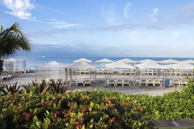 Family Luxury Suites by Velas Vallarta - All Inclusive - Plaj