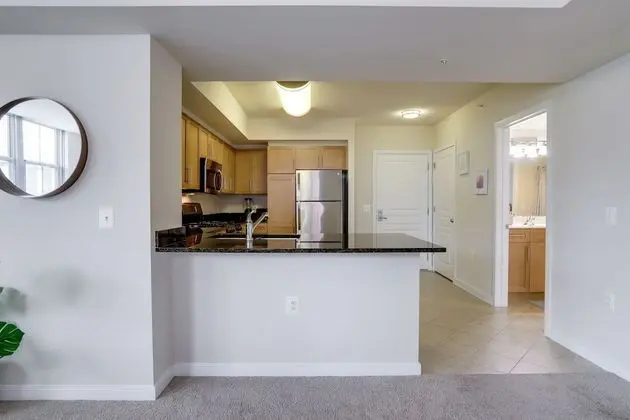 Fantastic 1 Bedroom Condo at Arlington - Mutfak