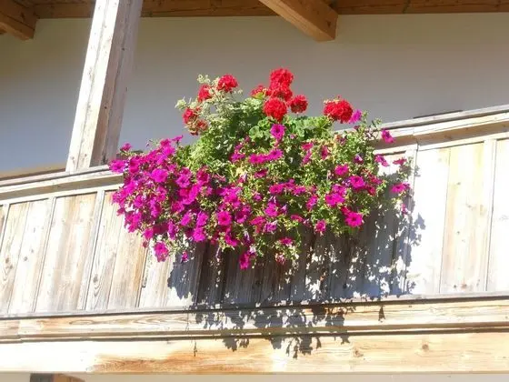 Fantastic Chalet in Niederndorf bei Kufstein With Terrace - Dış Mekan