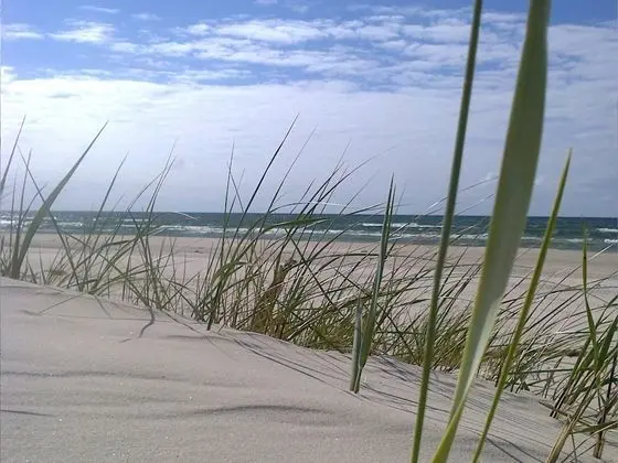 Fantastic House, Located Among Meadows and Nature, Near the Sea