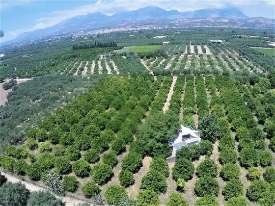 Farm House in Bio Orange Plantation - Dış Mekan