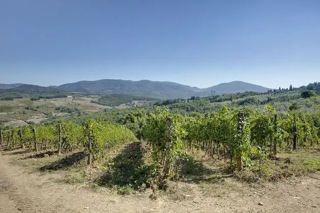 Farm House La Presura - Dış Mekan