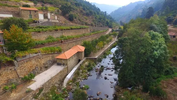 Farm Recião - House of Homemade - Dış Mekan