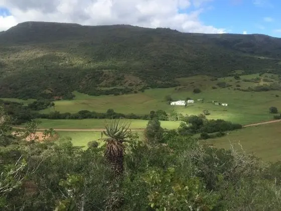 Farm Stays, Here you Will be Able to Relax and Enjoy the Beauty of Nature