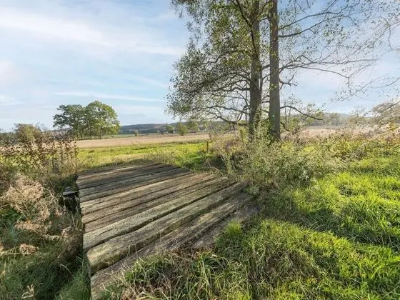 Farmhouse Kalys in Vielsalm With 180° View of the Forest - Dış Mekan
