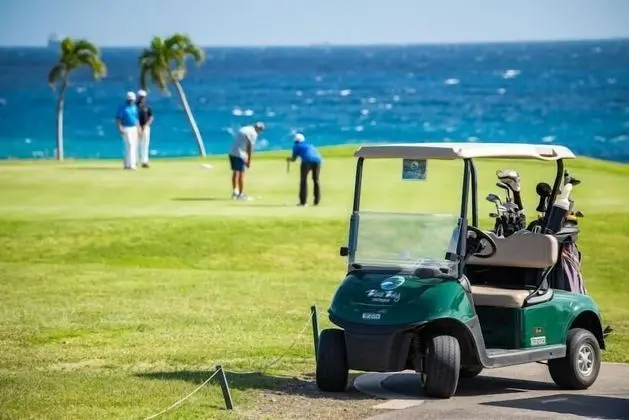 Fascinating Ocean Front 3BR Penthouse at Blue Bay Beach & Golf Resort - Havuz