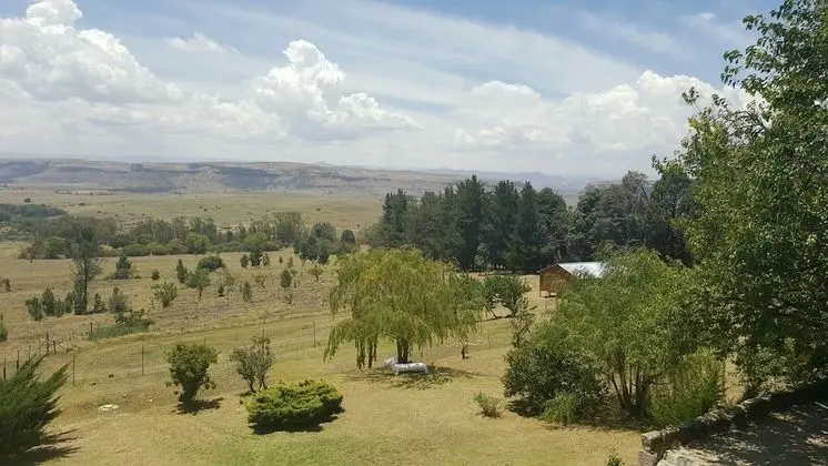 The Fat Mulberry Guesthouse - Dış Mekan