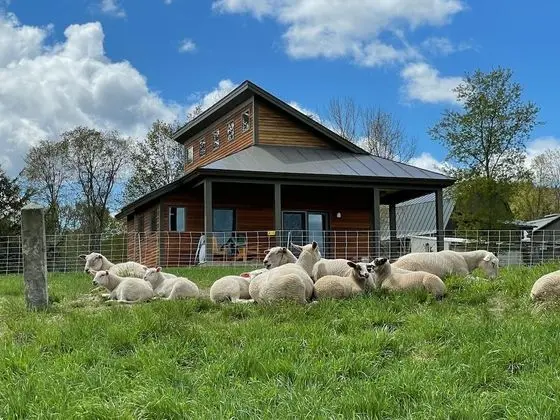 Fat Sheep Farm & Cabins - Dış Mekan