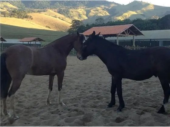 Fazenda Vale Da Mantiqueira
