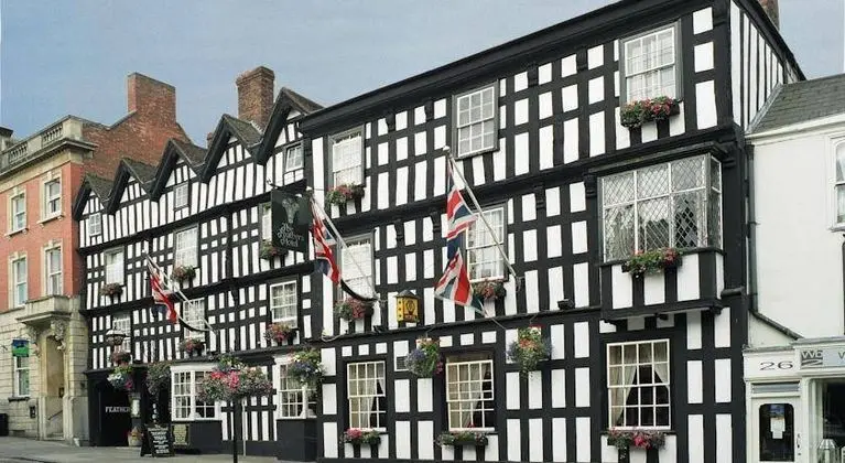 The Feathers Hotel
