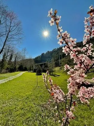 Feel & Live Hotel Villas Restaurant - Manzara / Peyzaj