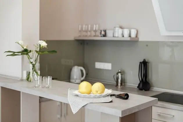 Feeria Apartment Deribasovskaya - Mutfak