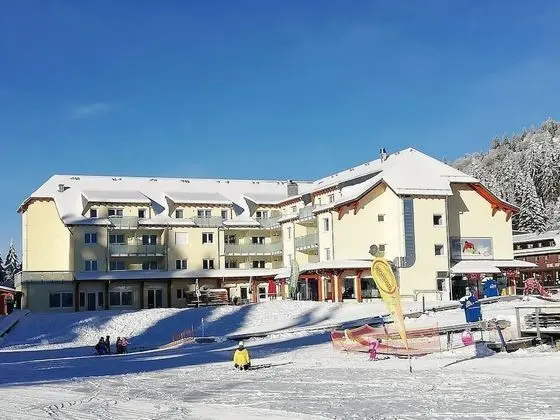 Feldberg Lodge