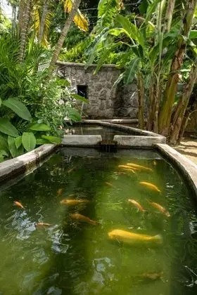 Felicie Cottage & Residence - Dış Mekan