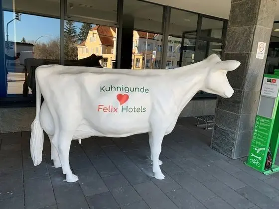 Felix Hotel Kaufbeuren - Dış Mekan