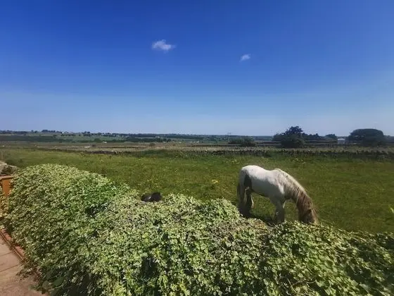 Fell View Cottage - Dış Mekan