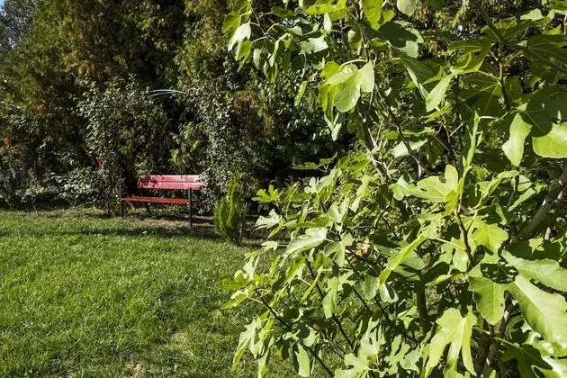 Feng Shui Wellness Apartmanház - Dış Mekan