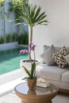 Fenosa Seminyak Villas by Nagisa Bali - Öne Çıkan Resim