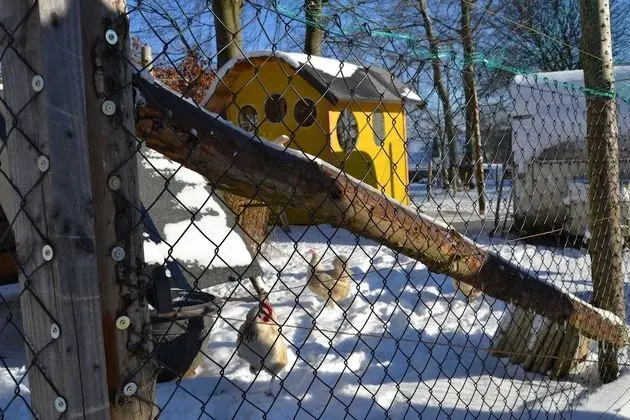 Ferien Bei Freunden Im Holzhaus - Dış Mekan