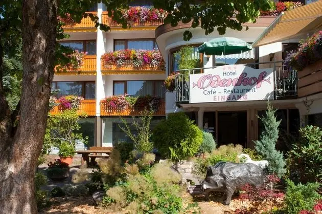 Ferienhotel Ödenhof - Dış Mekan