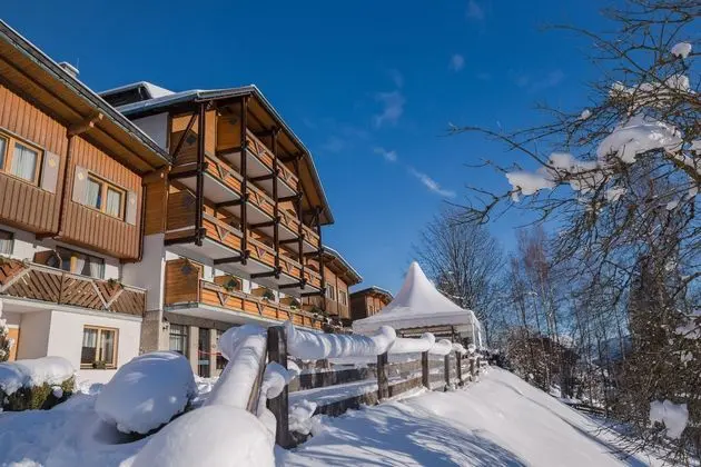 Ferienalm Schladming